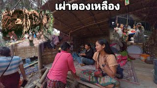 หมู่บ้านเผ่าตองเหลืองได้รับสมาชิกเพิ่มอีก9คน คนป่า ตองเหลือง มลาบรี ຄົນປ່າ bn saolao #คนป่า