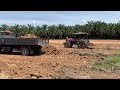 refuse to level the red soil for the purpose of placing oil palm seedlings evenly with the ground