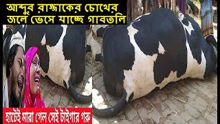 গাবতলী হাটেই মারা গেলো ৩০ মণ ওজনের গরু টাইগার | সবকিছু ঠিকঠাক ছিল, হঠাৎ হাটেই যে ভাবে মারা গেলো