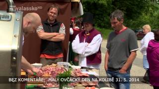 Valašské Klobouky: Malý ovčácký den na Kolibě 31.05.2014