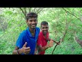 extreme forest hide u0026 seek revenge challenge 🔥🔥 అడవిలో దాగుడు మూతలు…😱😱 telugu experiments