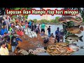 SETIAP MINGGU PAGI DI DANAU SUNTER BANYAK LEPASAN IKAN