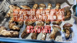 令和6年総集編　信州松茸きのこ狩り　７月から10月までのダイジェストまとめ