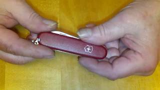 Victorinox Walker - Ecoline