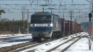 東海道本線 貨物撮影記　2012.12.14　雪景色を駆ける列車たち！