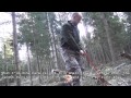 Sawing wood in the bush - Tips & Tricks 1