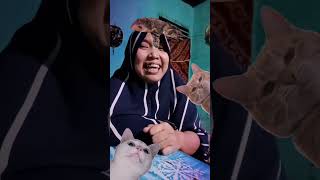 Aku punya kucing jelek banyak