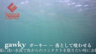 gawky - 落として喰わせる、ガーキー