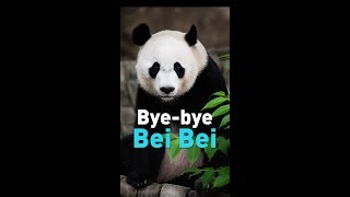 Bye-bye Bei Bei