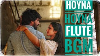 Hoyna hoyna Flute Bgm | Musical 3D | Anirudh, Nani, Priyanka | Hoyna hoyna Bgm |