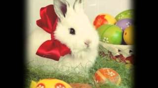 Frohe Ostern film