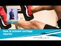 How to Prevent Cartilage Injuries | Barbara Wondrasch (Austria)