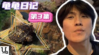 【龟龟日记】｜EP.3｜饲养难度极高的星点水龟!?｜