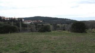 Field for sale in Poligiros, Halkidiki (Property ID: 1505)