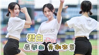 台湾プロ野球【中信兄弟】Pai君白(Passion Sister) 爪爪村莊寵物日｜飄飄仙氣迷人 ,嗆司曲 黃潮來襲2023/09/10［4K60P]