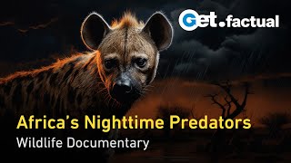 Africa's Hunters of the Night | Wildlife Documentary