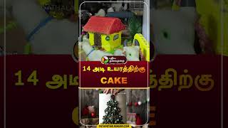 14 அடி உயரத்திற்கு கேக் | #mayiladuthurai | #christmas | #cake | #shorts