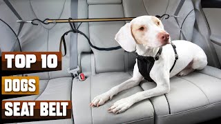 Best Seat Belt for Dogs in 2024 (Top 10 Picks)