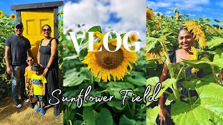 Sunflower Field | සූරියකාන්ත මල් යායක් | සිංහල vlog | Journey with Sha