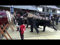 【獅子舞】香川県三豊市（lion dance of mitoyo city）