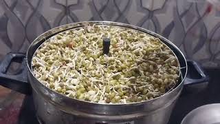 simple முளைகட்டிய பயறு recipe ||sprouted grain simple recipe #youtubevideo #healthyfood