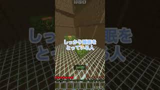 5つ以上当てはまったら天才！ #マインクラフト　#shorts