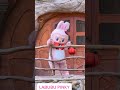 LABUBU PINK 🌺 || #labubu #shorts  #viralvideo #fypシ゚viral