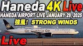 🔵 Live 羽田空港ライブ Haneda Airport Live January 29, 2025 生中継 2025年1月29日 羽田空港ライブカメラ