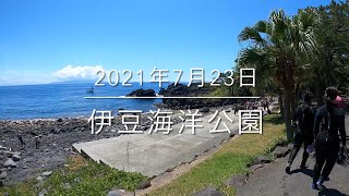 【珠や潜水】伊豆海洋公園　2021年7月23日