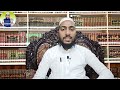 ammar name meaning in urdu ammar naam ka matlab by mufti sadaqat official ammar name