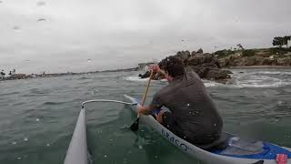 Kai Wa’a Draco Downwind - Newport Harbor