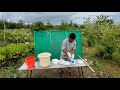 how to prepare 1% bordeaux mixture preparation importa rawe agricultur ento