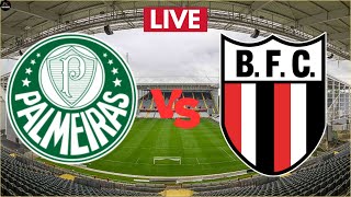 LIVE Palmeiras vs Botafogo SP | Paulista A1 Live Match Today