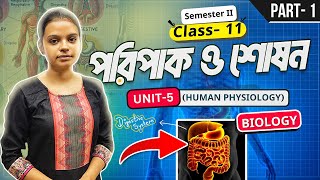 পরিপাক ও শোষণ | Digestive System | Part 1 | Human Physiology | Biology | Class 11 | Sem 2 | elit