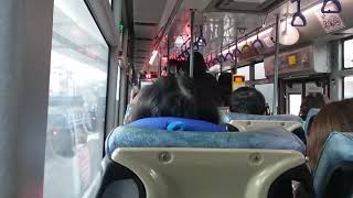 三重客運 紅23 路線公車 （淡海 - 關渡）