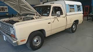 DODGE D 150 1982