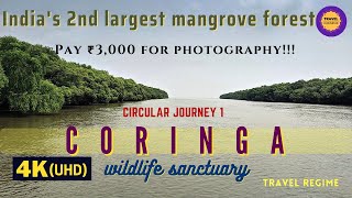 Coringa wildlife sanctuary, 2nd largest mangrove forest of India, Andhra Pradesh, Travel Guide