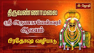 திருவண்ணாமலை ஸ்ரீஅருணாச்சலேஸ்வரர் கோவில் | புரட்டாசி மாத மகாளய பட்ச பிரதோஷ வழிபாடு