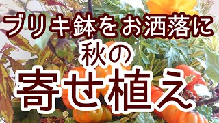 秋のガーデニングシーズン到来！【寄せ植え】カボチャの様な形の植物を使ってハロウィンっぽく可愛くアレンジします。