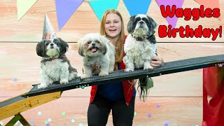 Assistant Creates Challenges to Help Celebrate Waggles 6th Birthday