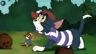 Tom and Jerry cartoon full story |@KidsTvPakistan.1