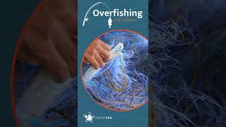 Overfishing