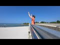 magnificent frigatebird flys free