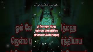 Pachaiamman mantra💚✨🌿#amman #shortvideo #mantras #subscribe #devotional #viral #amman #amma