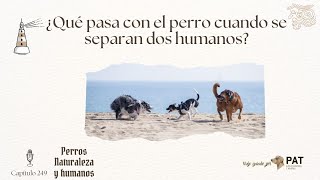 ¿Y quién se queda el perro? Separación de caminos humano| Podcast 249