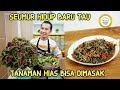 SEUMUR HIDUP BARU TAU TANAMAN HIAS BISA DIMASAK