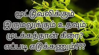 மூட்டுவலிக்கும் இருமலுக்கும் உதவும் முடக்கத்தான் கீரை? எப்படி எடுக்கணும்??? @magizhfoods