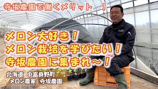 メロン栽培を徹底して学べる！体で覚える！寺坂農園で働くメリット1：北海道 富良野 メロン農家 求人 研修 実習 バイト パート 住み込みOK