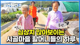 심상치 않은 표정으로 걸어오는 할머니들┃나들이 가나 해서 따라가봤더니..┃한국기행┃#골라듄다큐