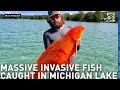 IMPRESSIVE CATCH: Northern Michigan bow-fishers catch 24.5-pound invasive Koi fish